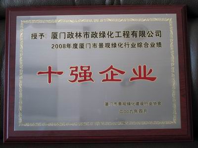 政林--協會十強企業榮譽證書